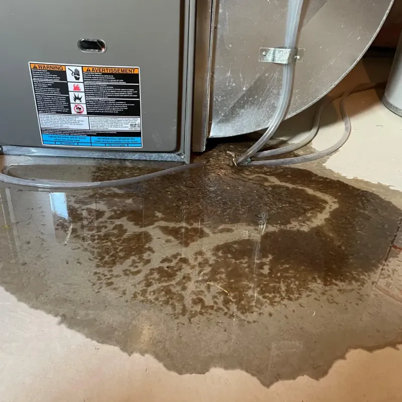 Appliance Leak Cleanup in Saint Cloud, MN